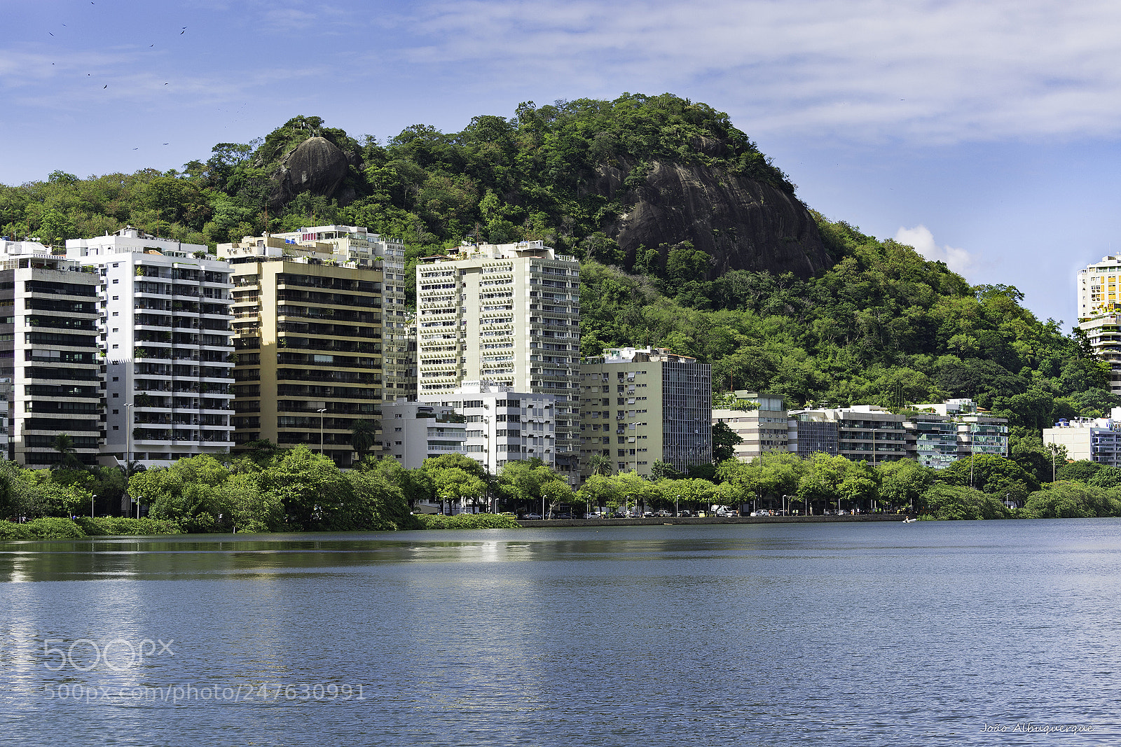 Nikon D5200 sample photo. Urban lush photography