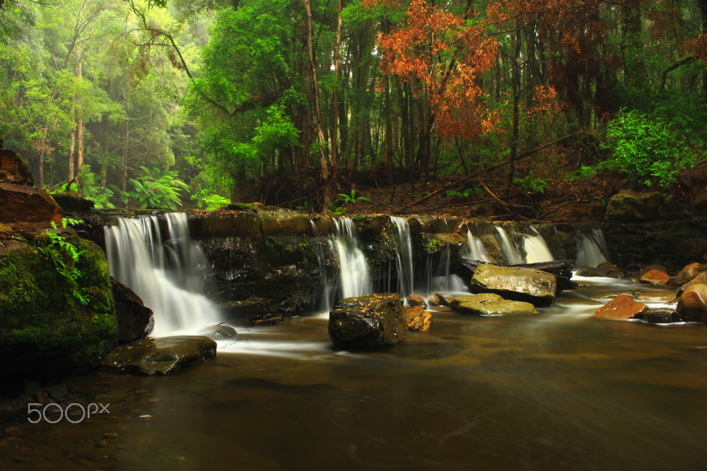 Canon EOS 60D sample photo. Flowerdale river falls photography