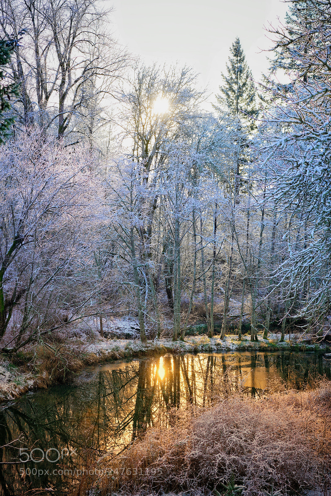 Sony a7R III sample photo. Sunrise at a local photography