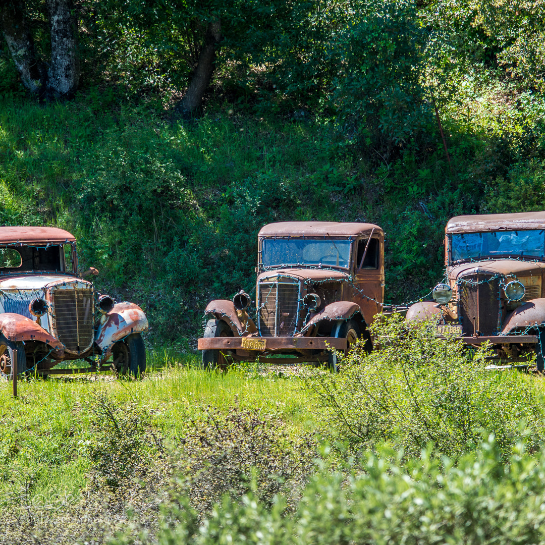 Nikon D7200 sample photo. Retired photography