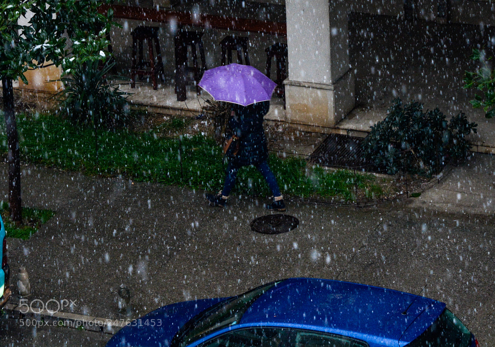 Nikon D7100 sample photo. Snowing again photography