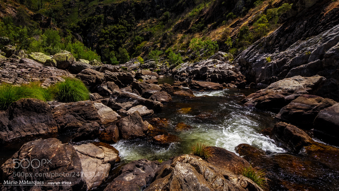 Canon EOS 60D sample photo. River... photography