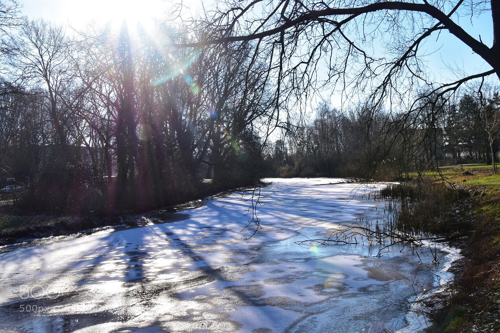 Nikon D5500 sample photo. Untitled photography