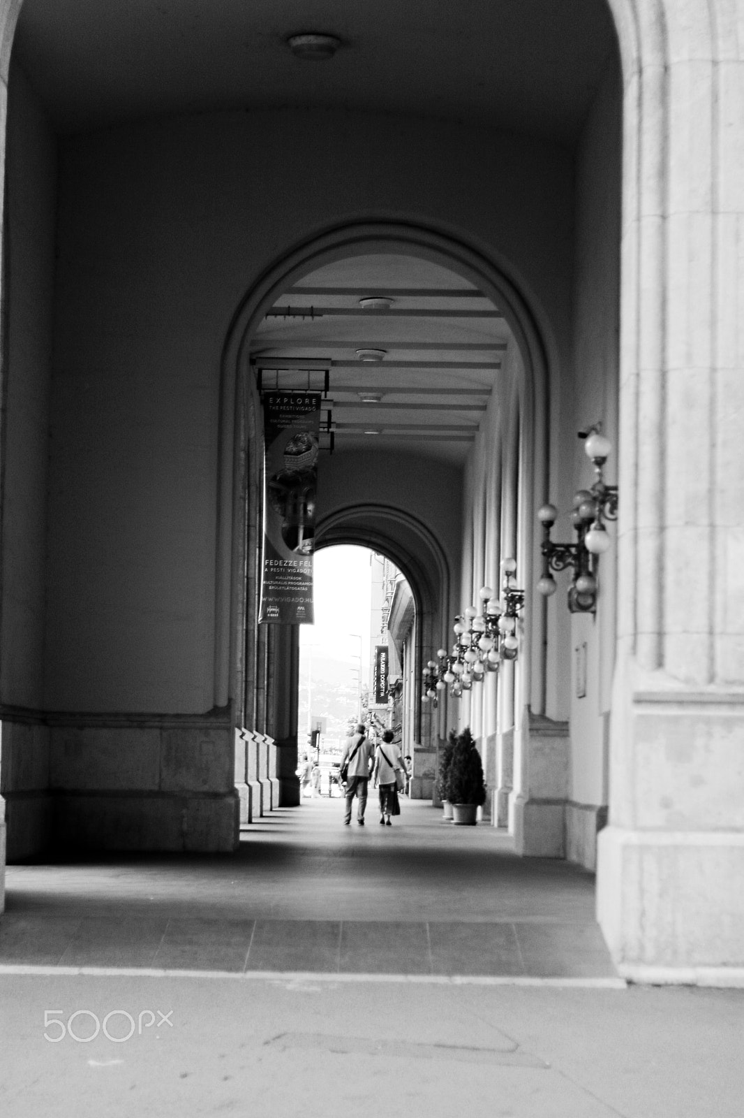 Canon EOS 750D (EOS Rebel T6i / EOS Kiss X8i) sample photo. Walk with me photography