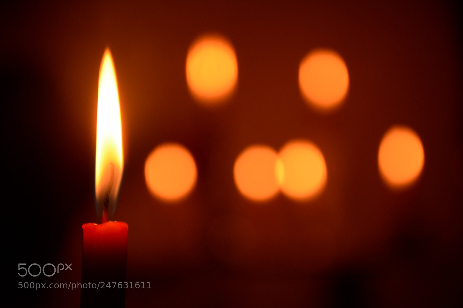 Nikon D7100 sample photo. Untitled photography