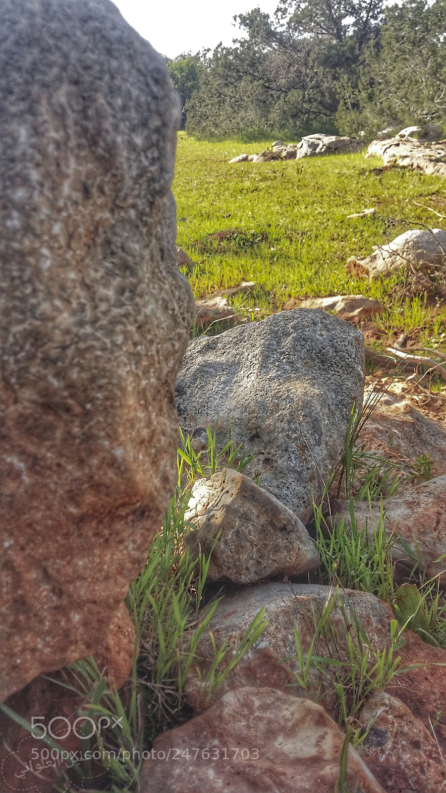 Samsung Galaxy A5 sample photo. Untitled photography