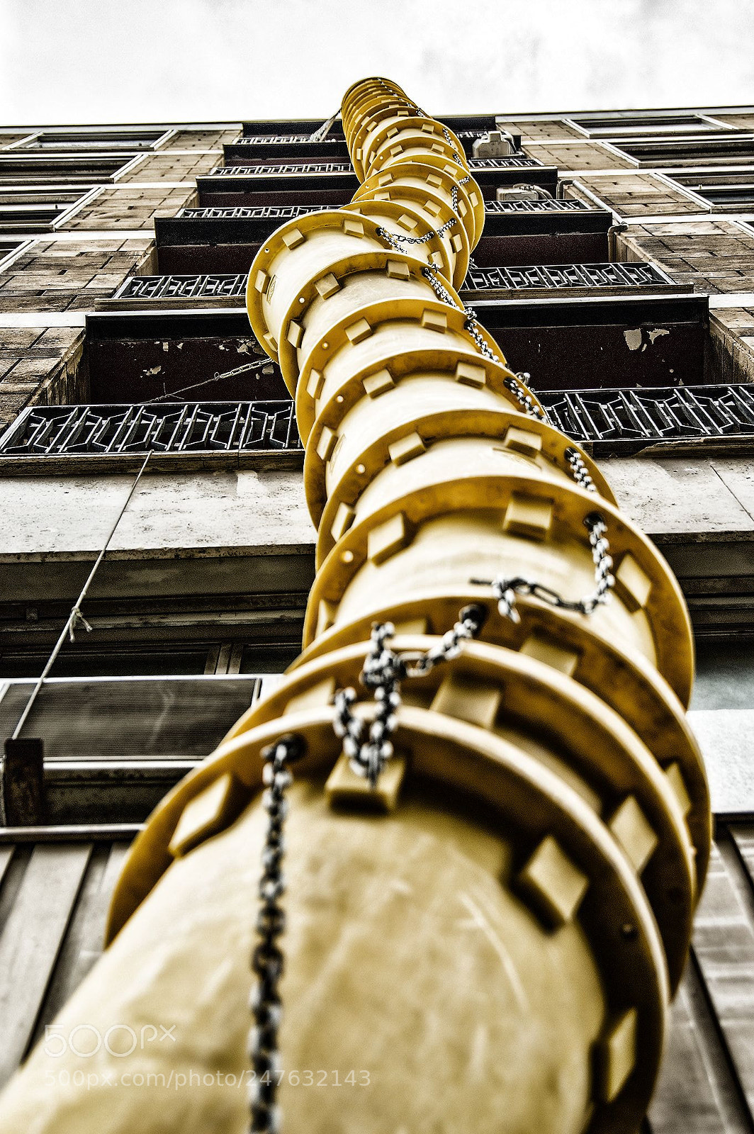 Nikon D3200 sample photo. Ride the snake,the snake photography
