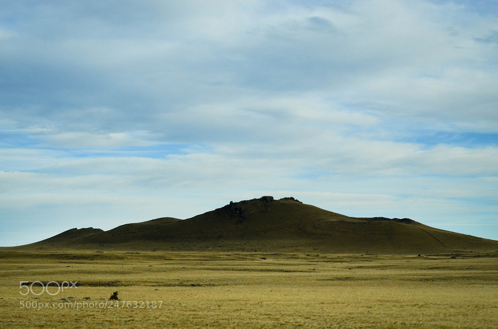Nikon D5100 sample photo. Untitled photography