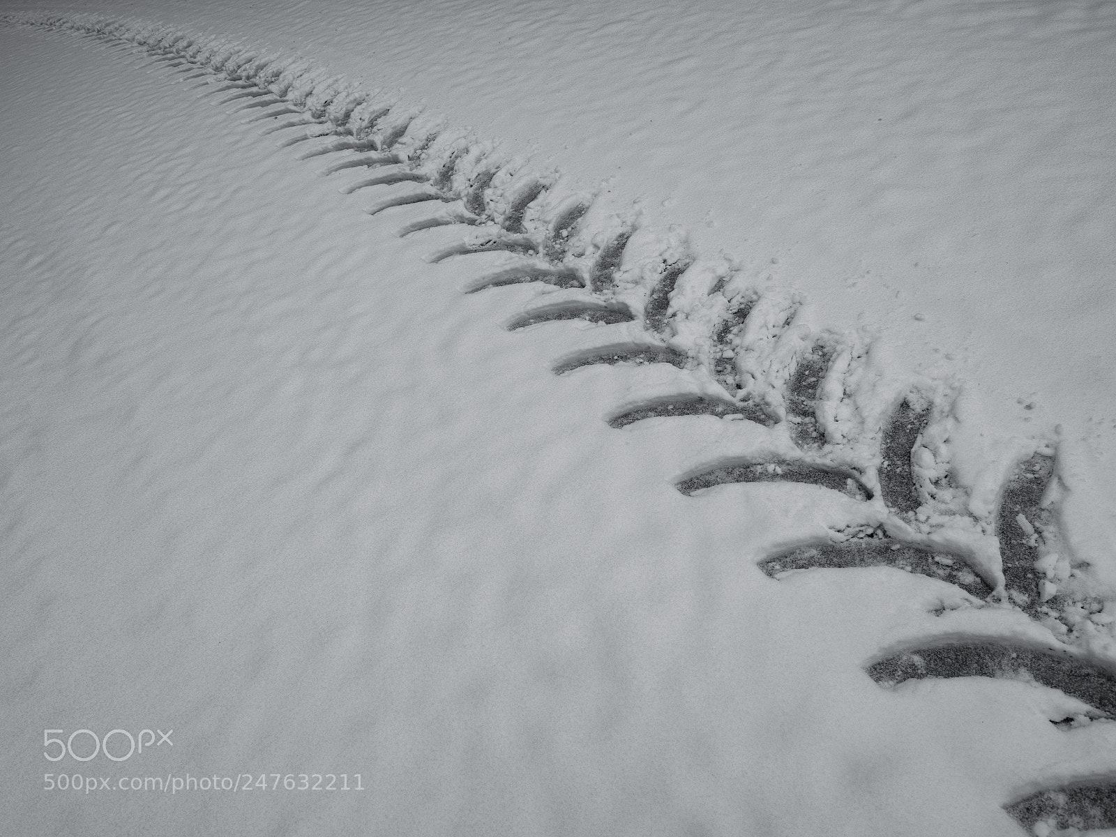 Olympus OM-D E-M5 II sample photo. Tracks in the snow photography