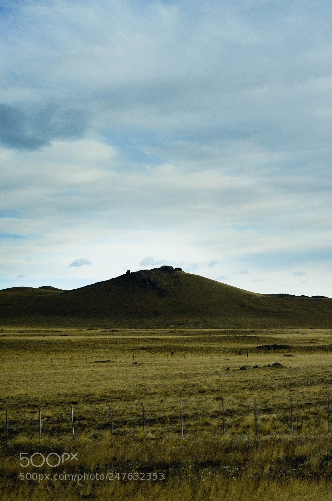 Nikon D5100 sample photo. Untitled photography
