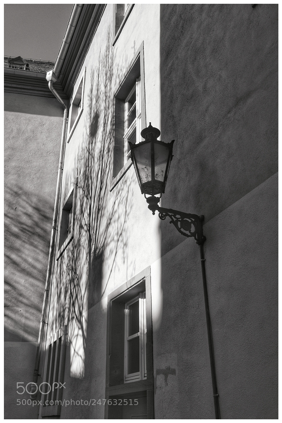 Fujifilm X-T20 sample photo. 'shadow tree' photography