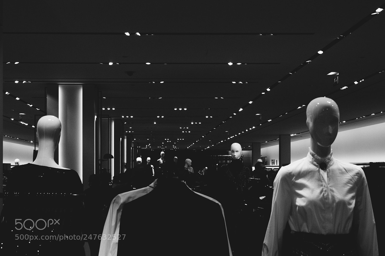 Fujifilm X-E2S sample photo. The dream of the photography
