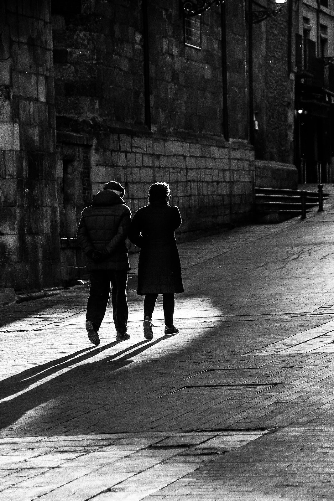 Nikon D500 sample photo. Yendo photography