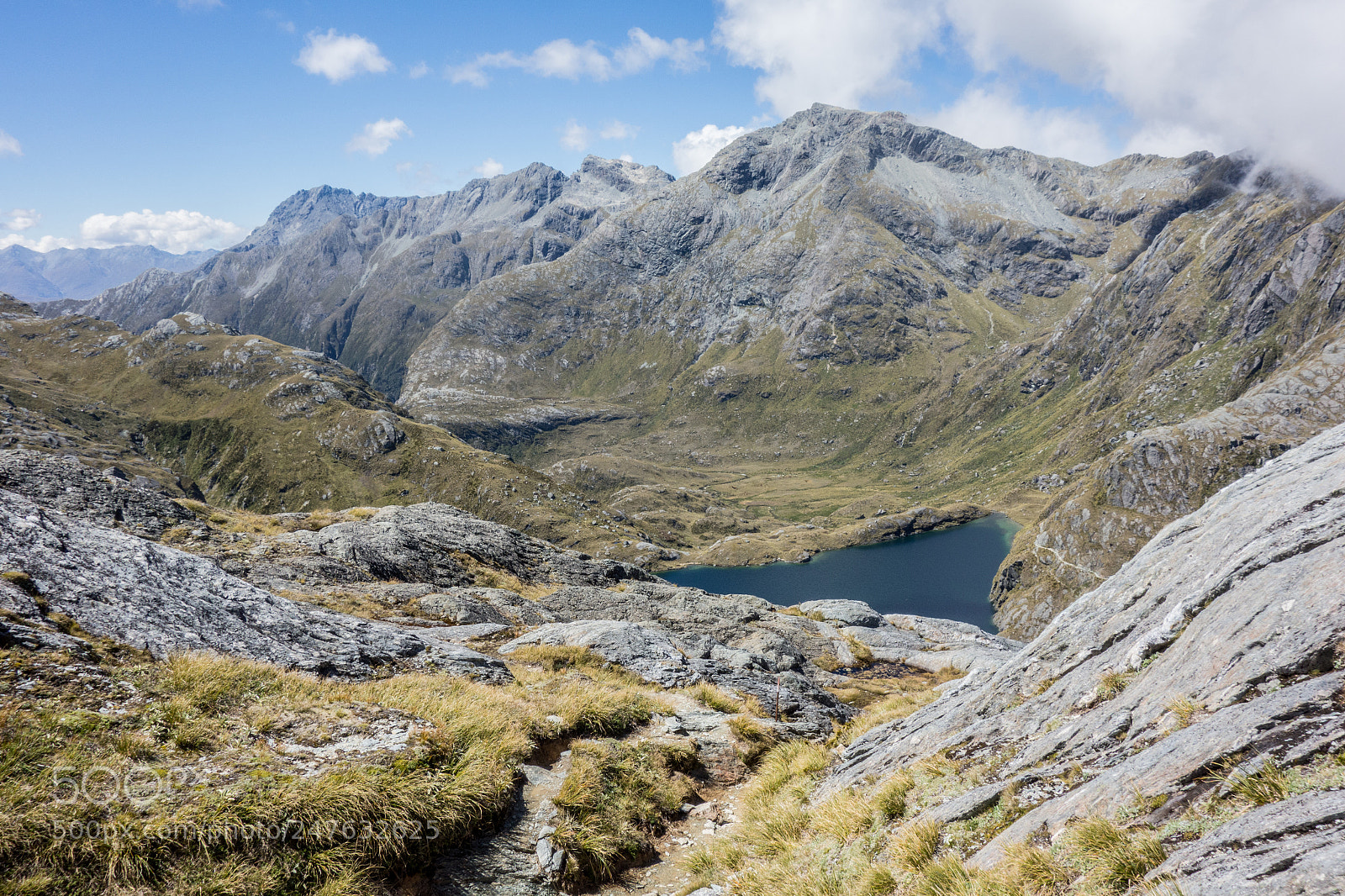 Sony Cyber-shot DSC-RX100 sample photo. Top of the routeburn photography