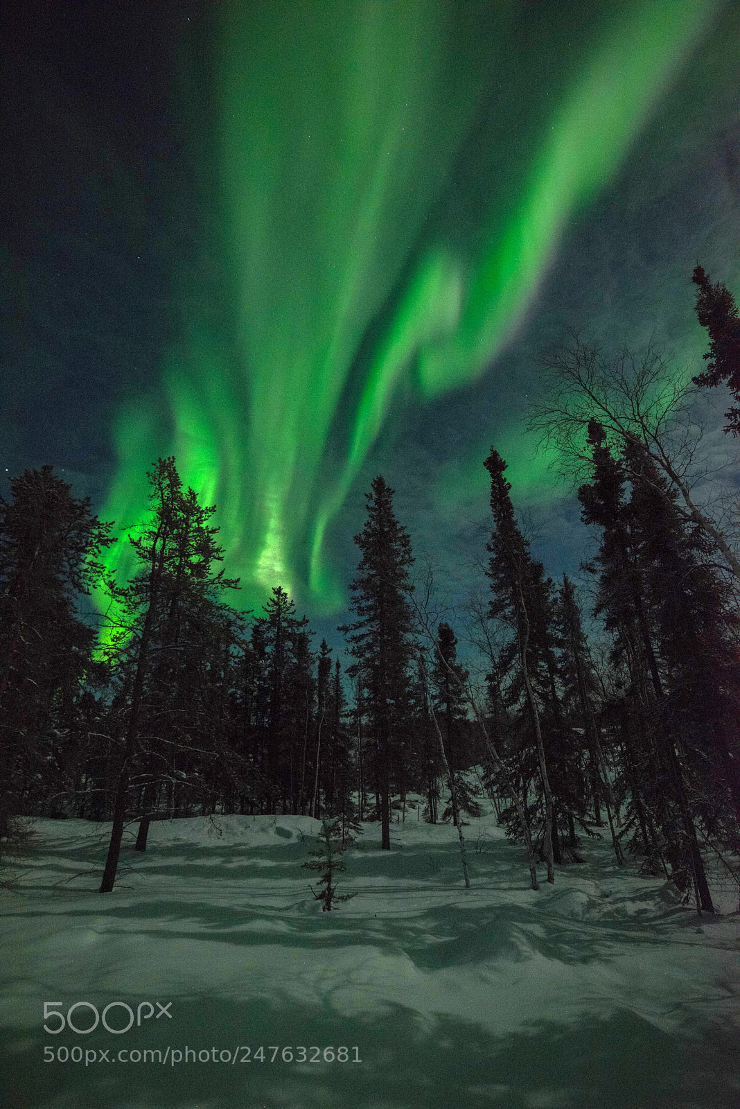 Nikon D810 sample photo. Northen lights at yellowknife photography