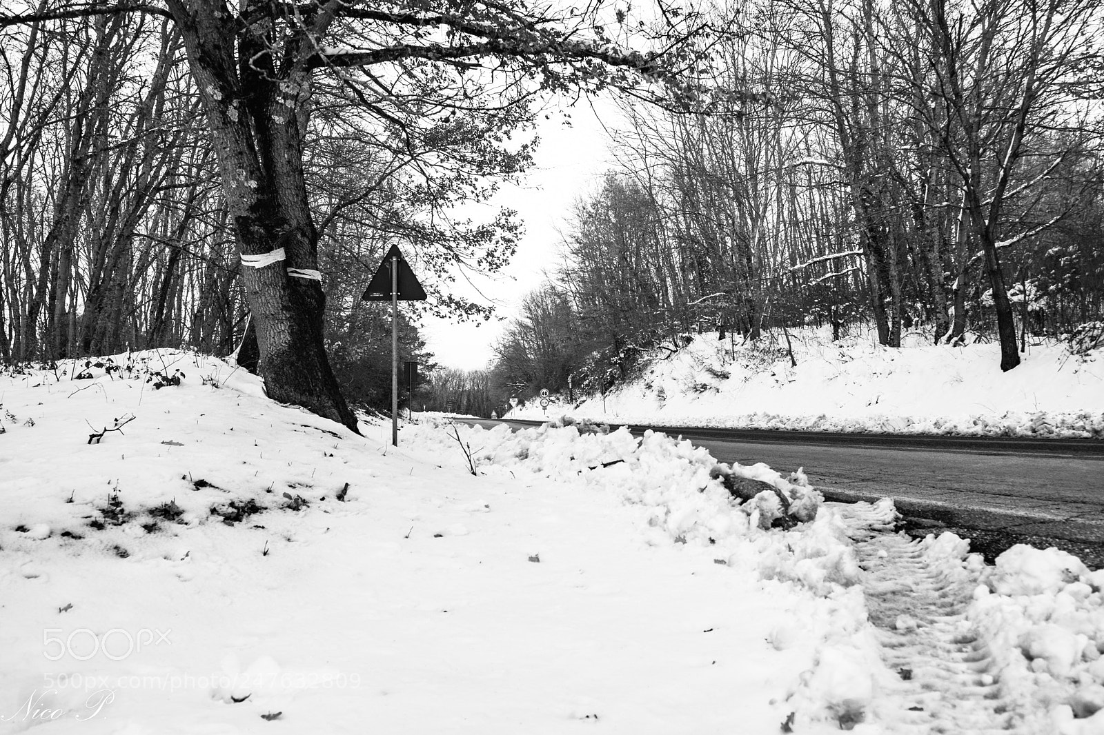 Fujifilm X-T2 sample photo. Snow cover photography