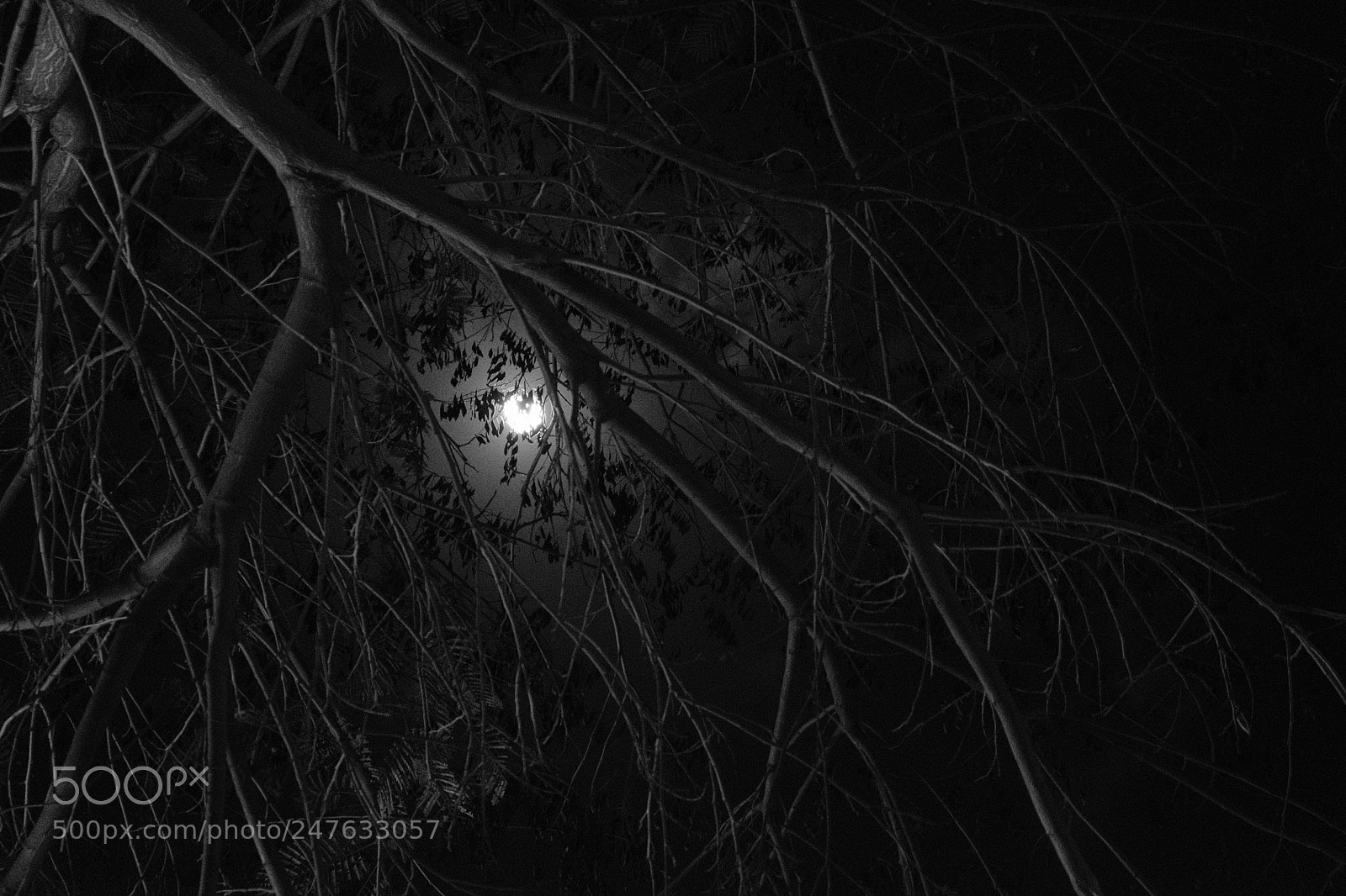Fujifilm X-T20 sample photo. The moon through some photography