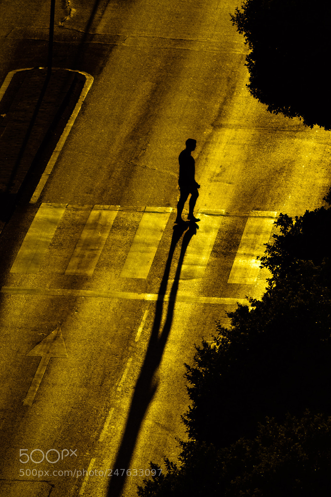 Nikon D3100 sample photo. Silhouette photography