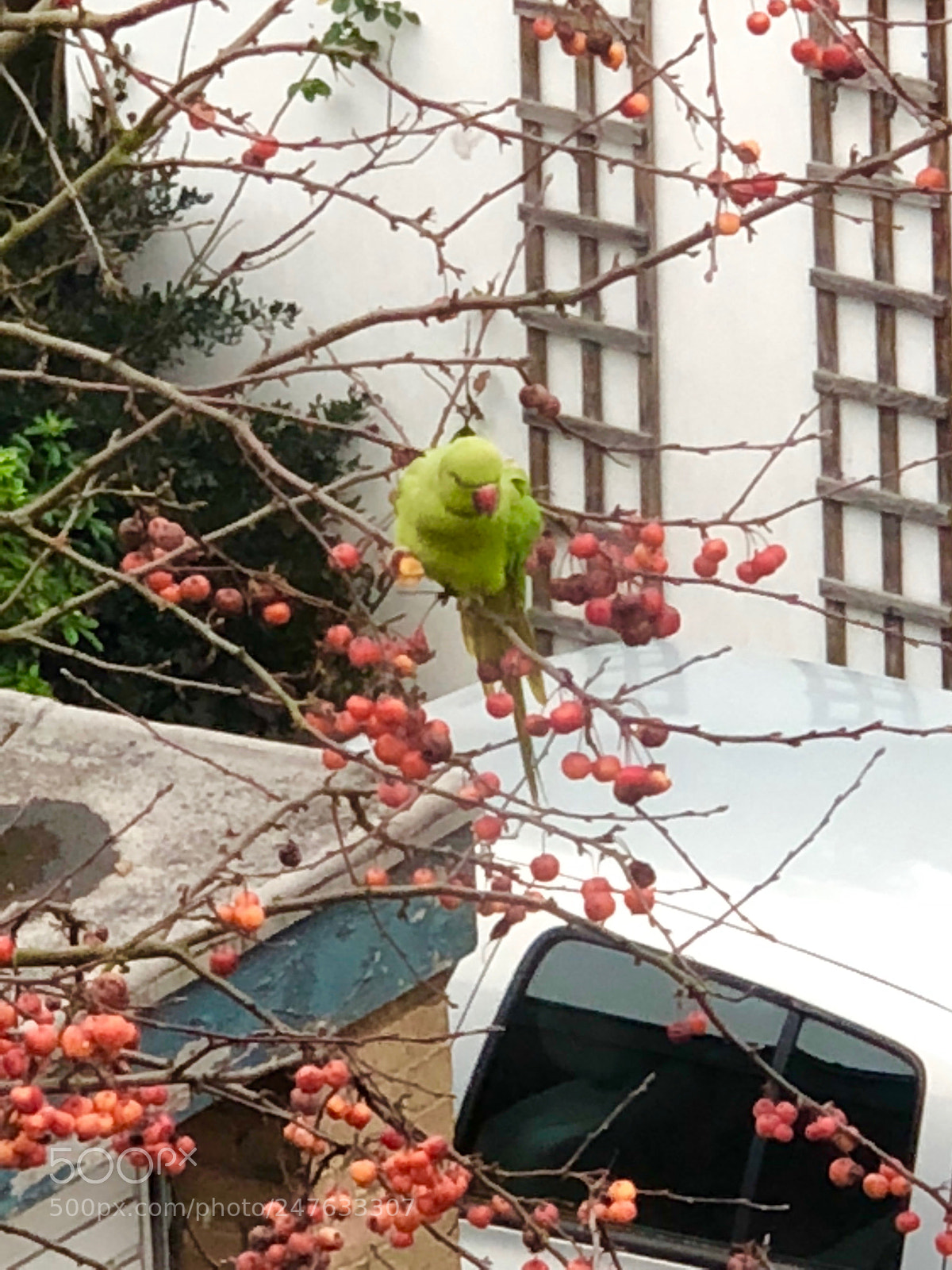 Apple iPhone X sample photo. Untitled photography