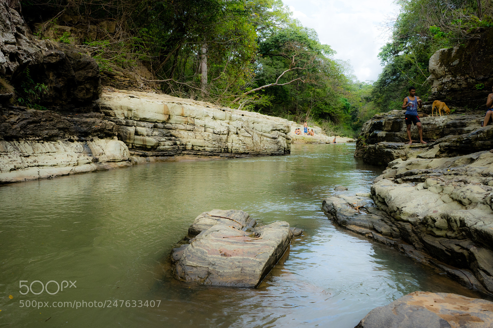 Sony a7 sample photo. Ravine view photography