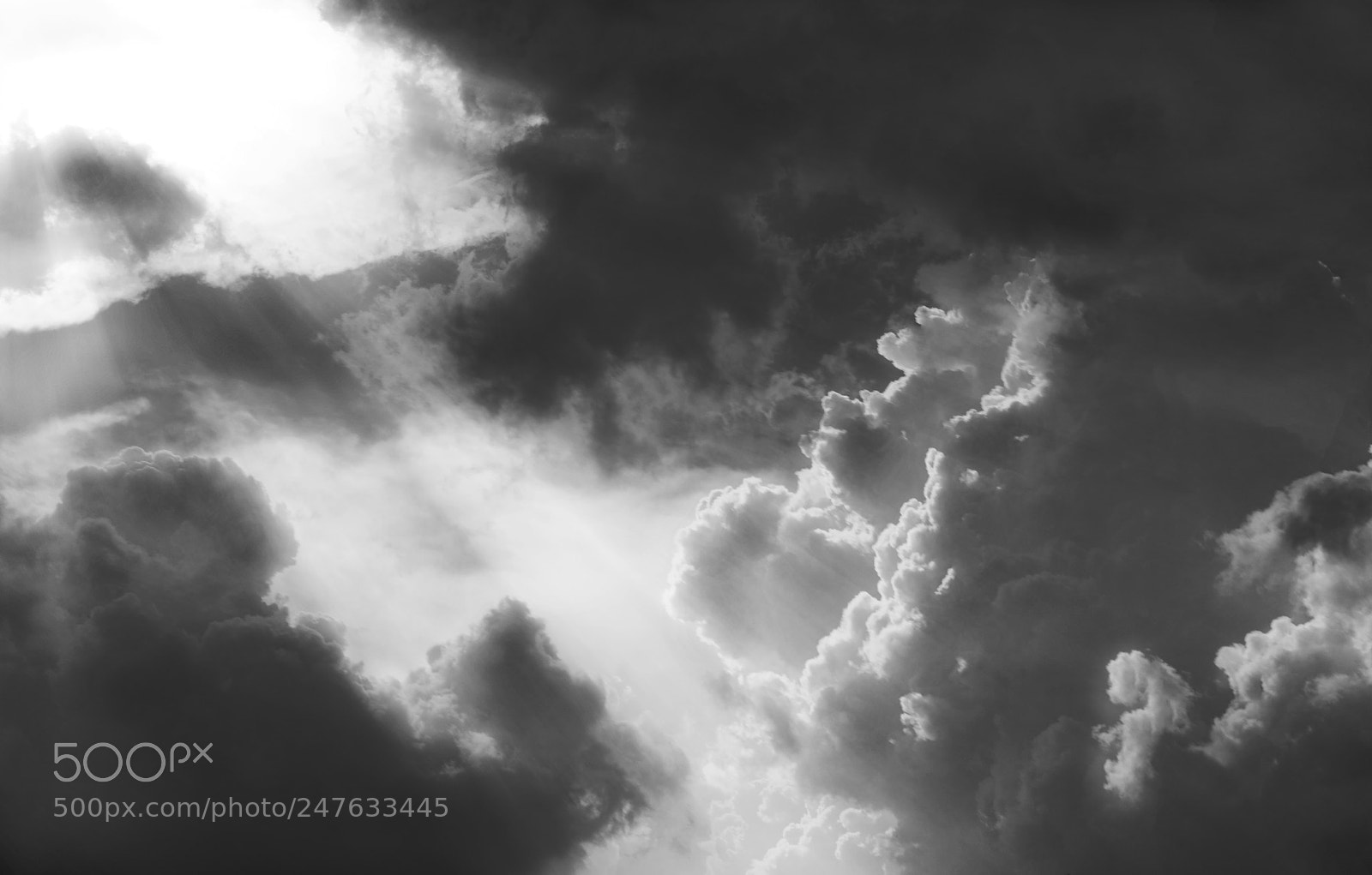 Sony a7R II sample photo. Untitled photography