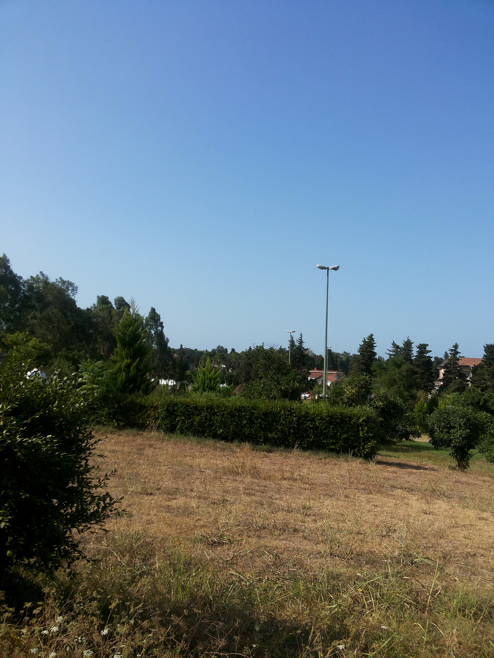 Samsung Galaxy Grand Duos sample photo. Park photography