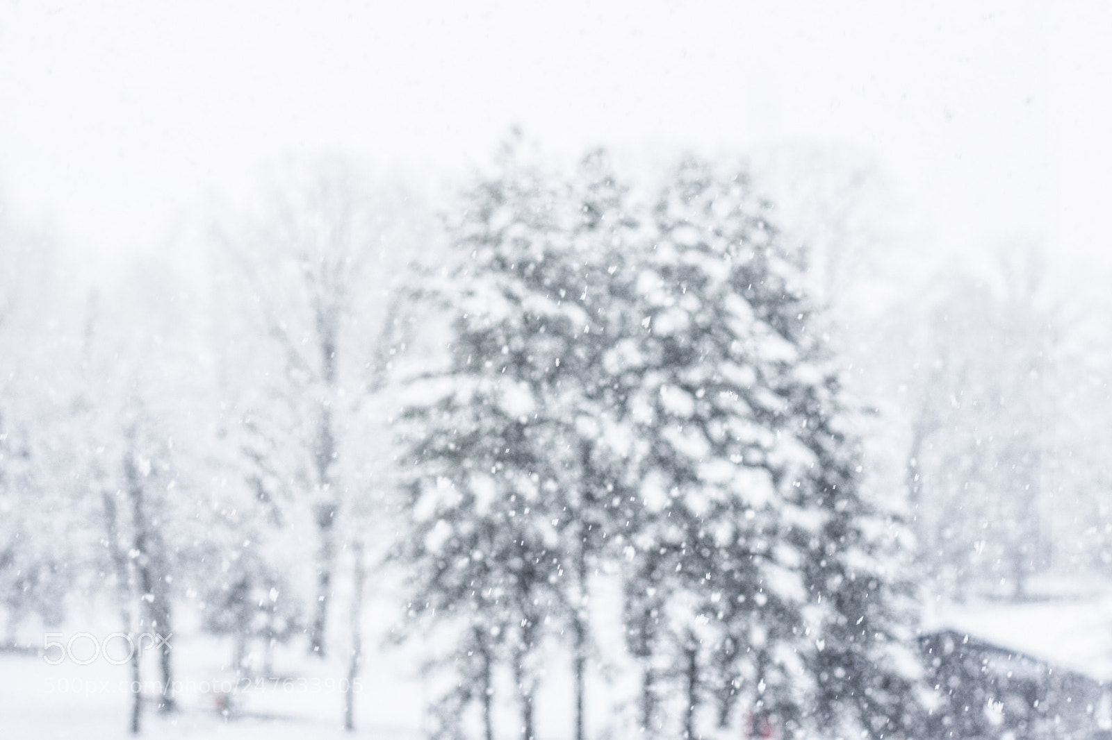 Nikon D7200 sample photo. Snow photography