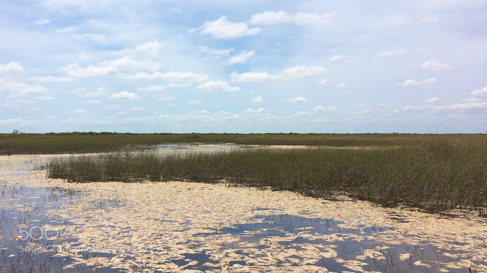 Apple iPhone 5s sample photo. Florida photography