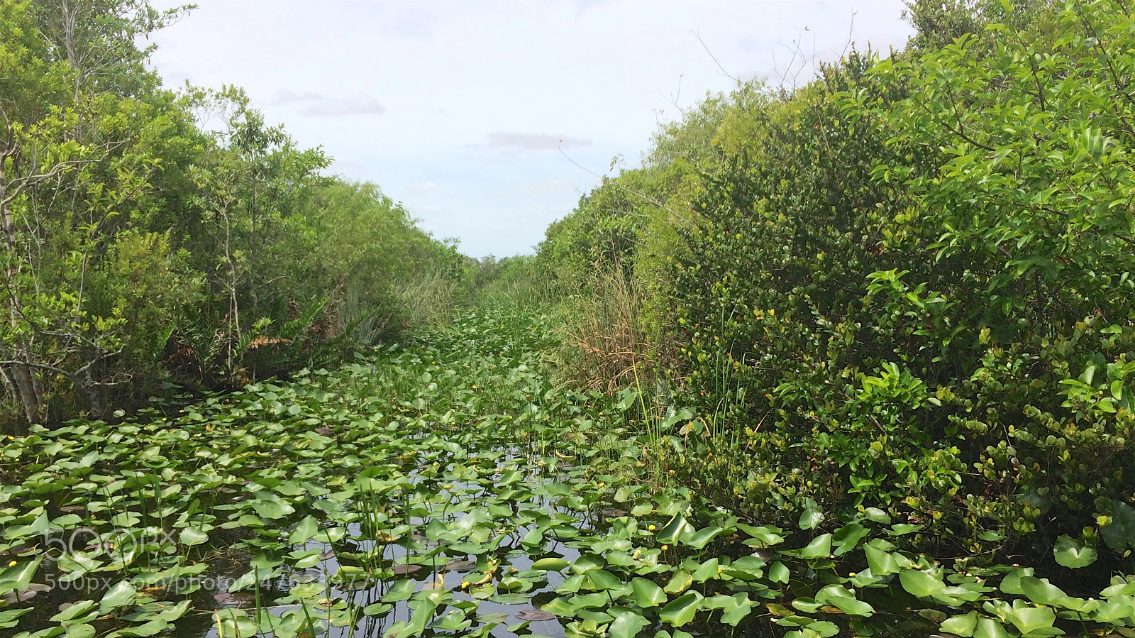 Apple iPhone 5s sample photo. Florida photography