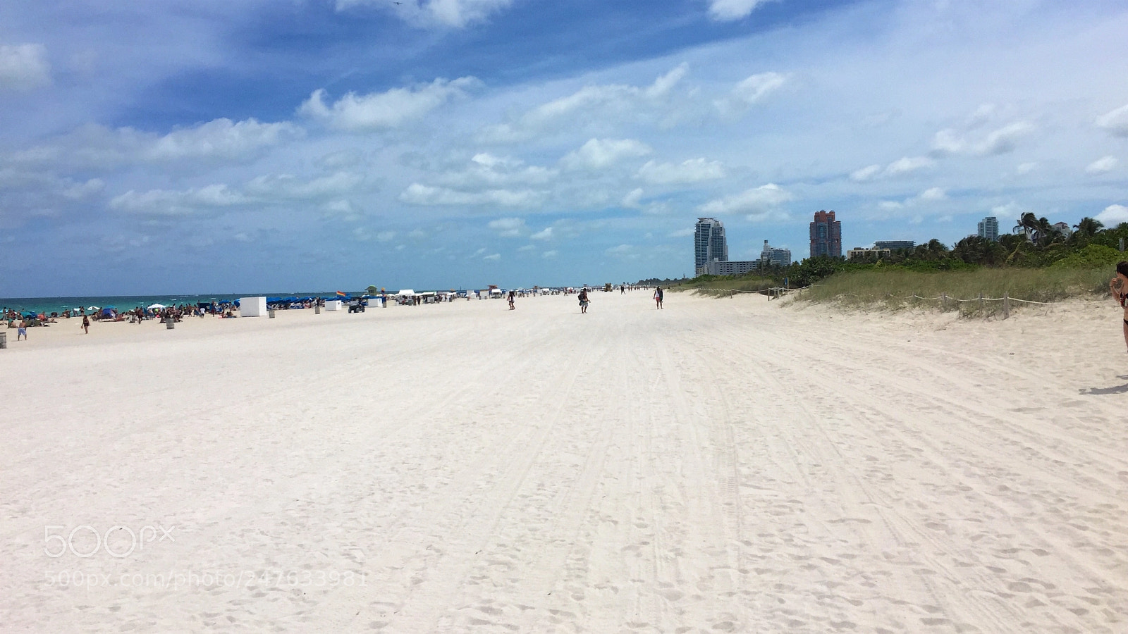 Apple iPhone 6 sample photo. Florida photography
