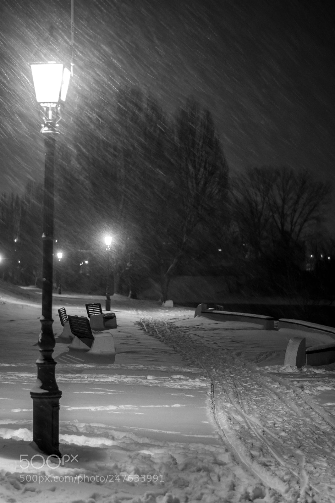 Nikon D7200 sample photo. Snowy promenade photography