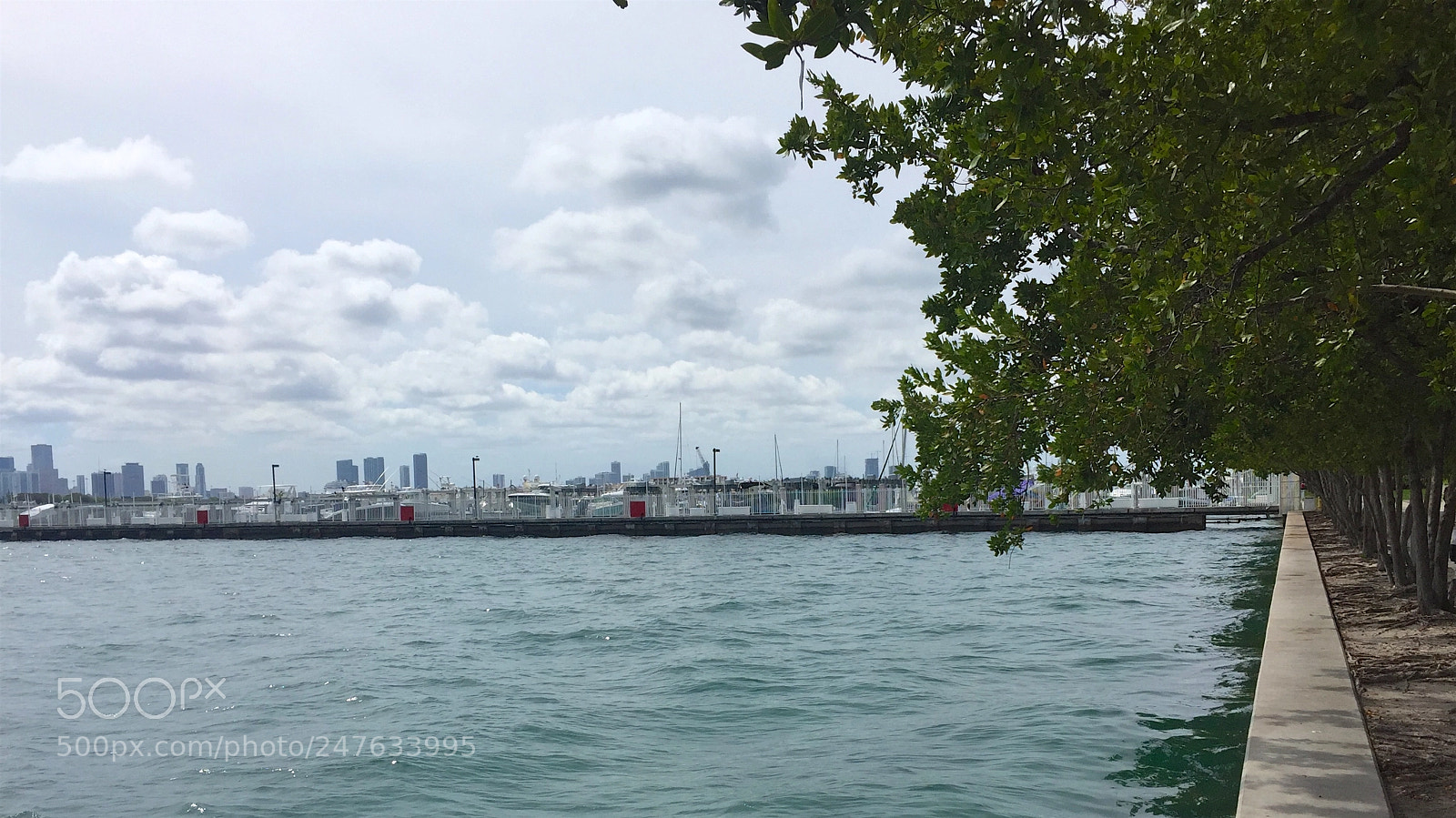 Apple iPhone 6 sample photo. Florida photography