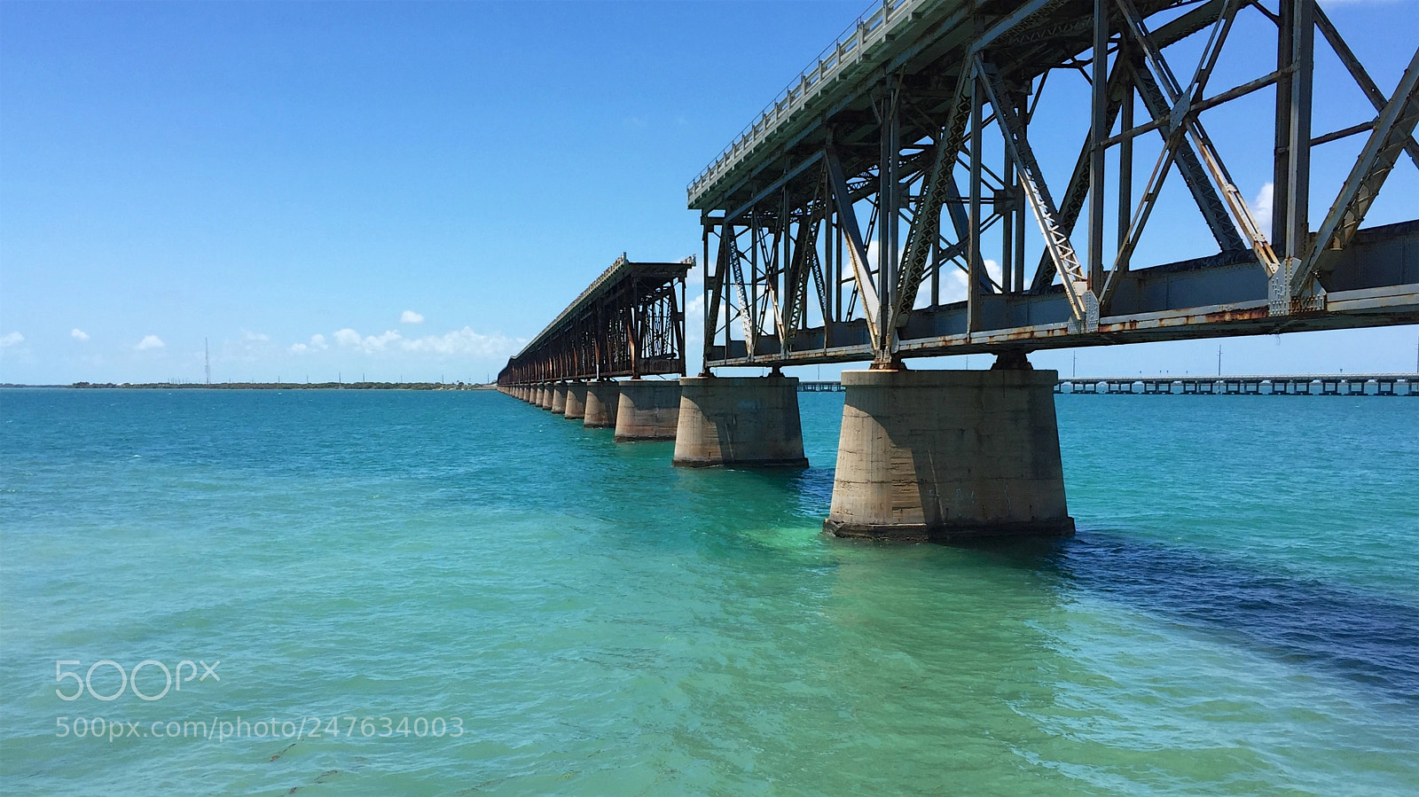 Apple iPhone 6 sample photo. Florida photography