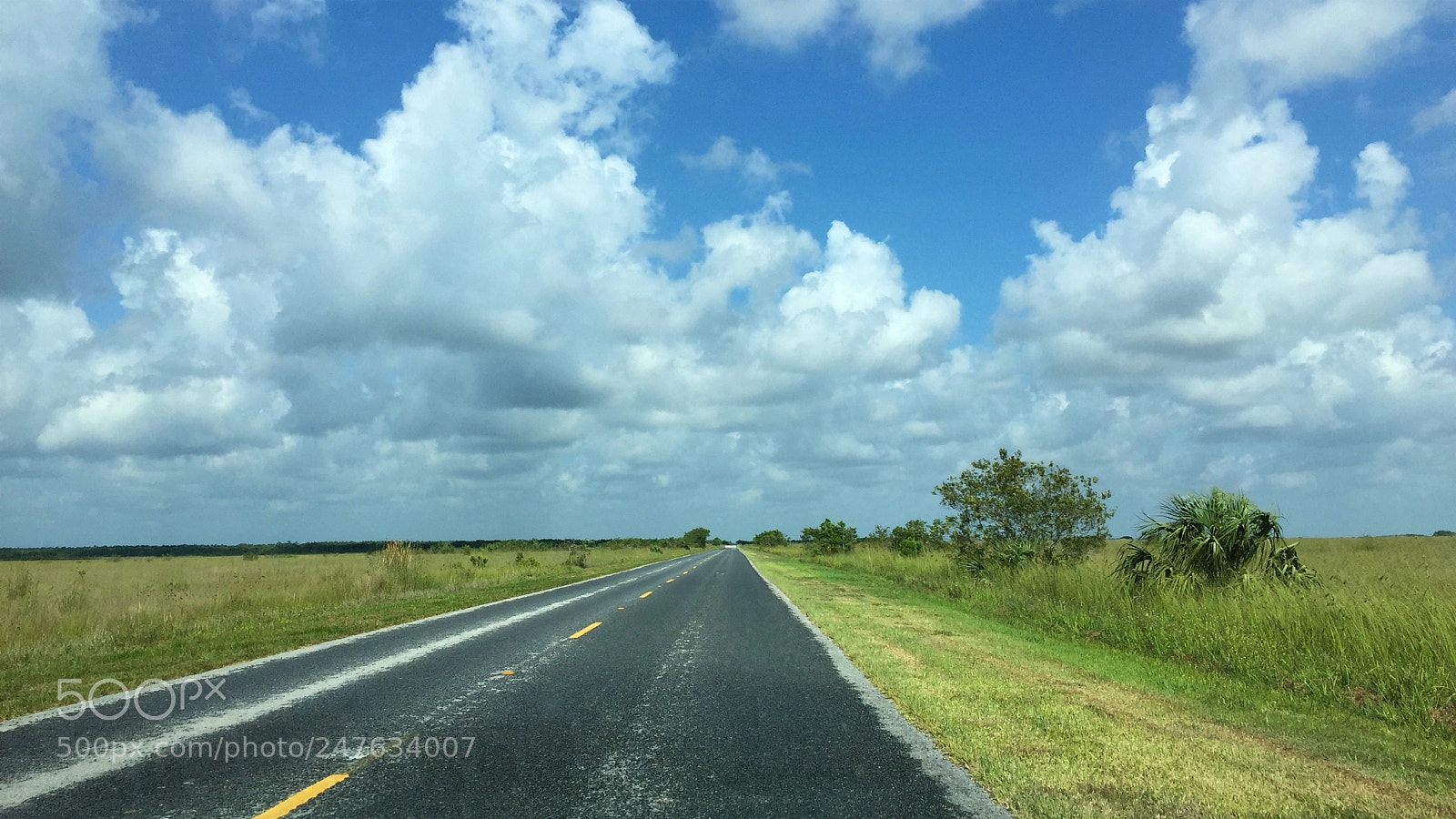 Apple iPhone 6 sample photo. Florida photography