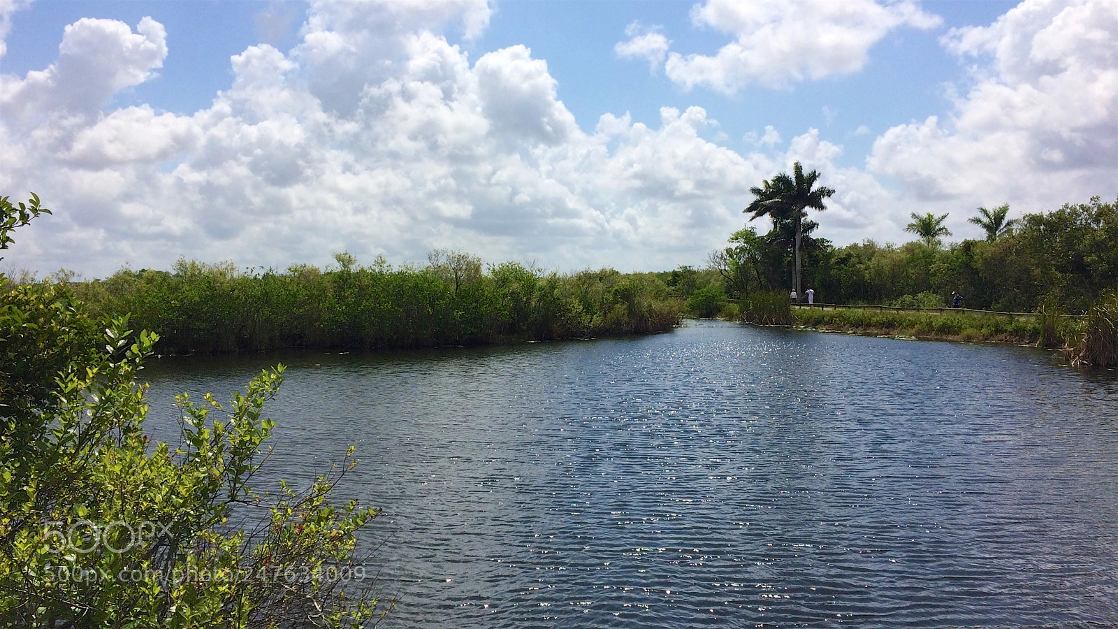 Apple iPhone 5s sample photo. Florida photography