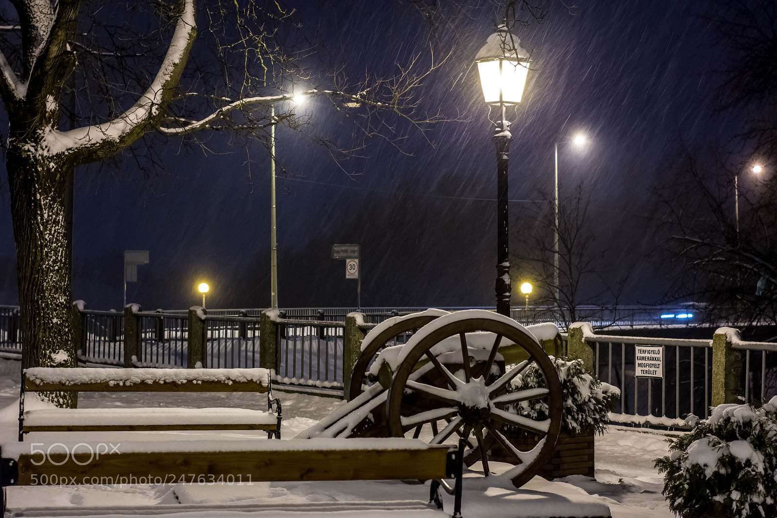 Nikon D7200 sample photo. Lonely cannon photography
