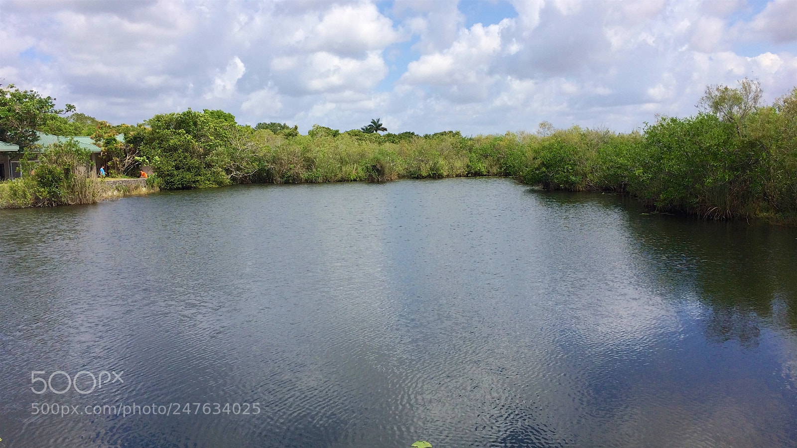 Apple iPhone 5s sample photo. Florida photography