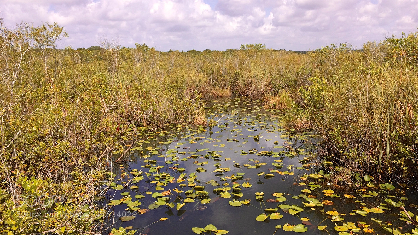 Apple iPhone 5s sample photo. Florida photography