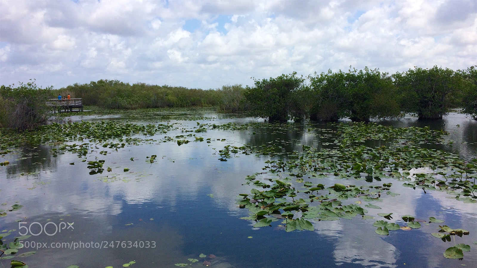 Apple iPhone 5s sample photo. Florida photography