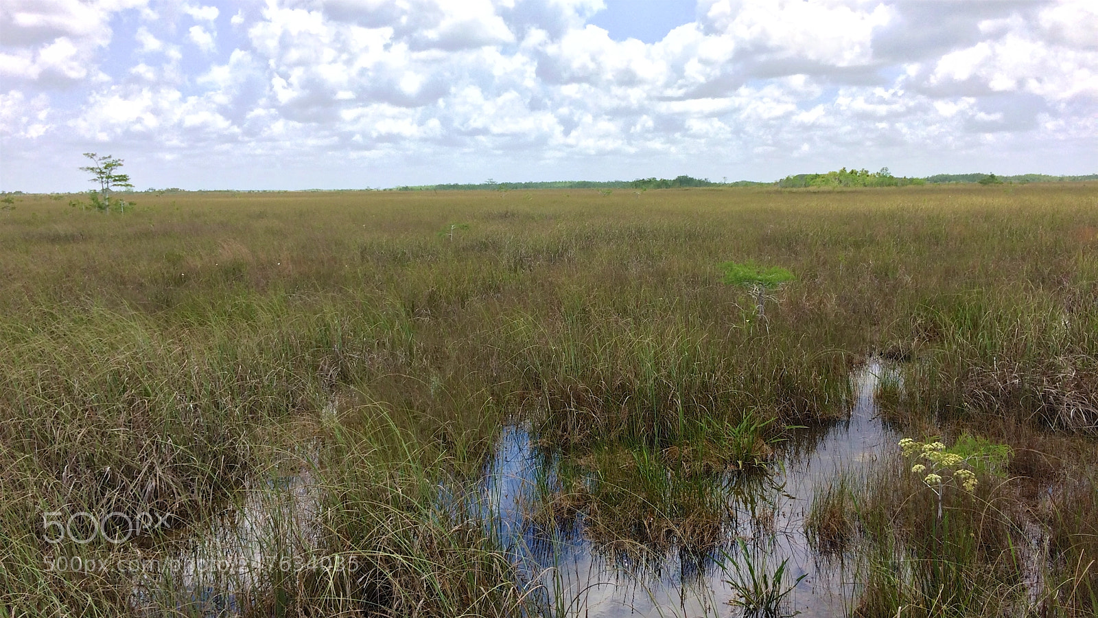 Apple iPhone 5s sample photo. Florida photography