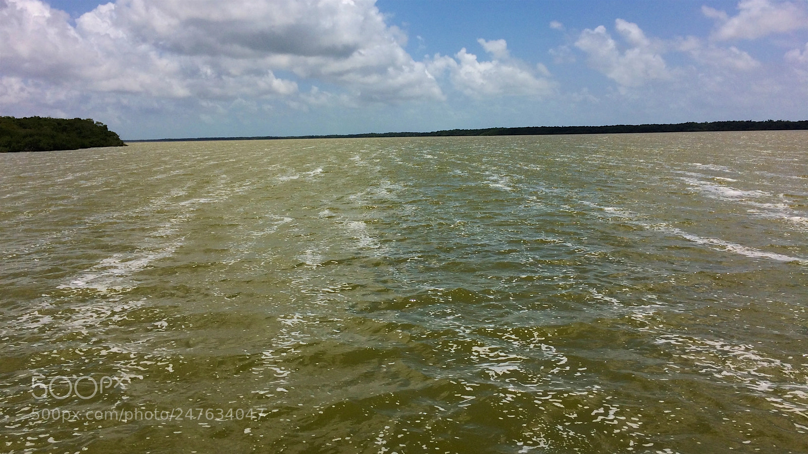 Apple iPhone 5s sample photo. Florida photography
