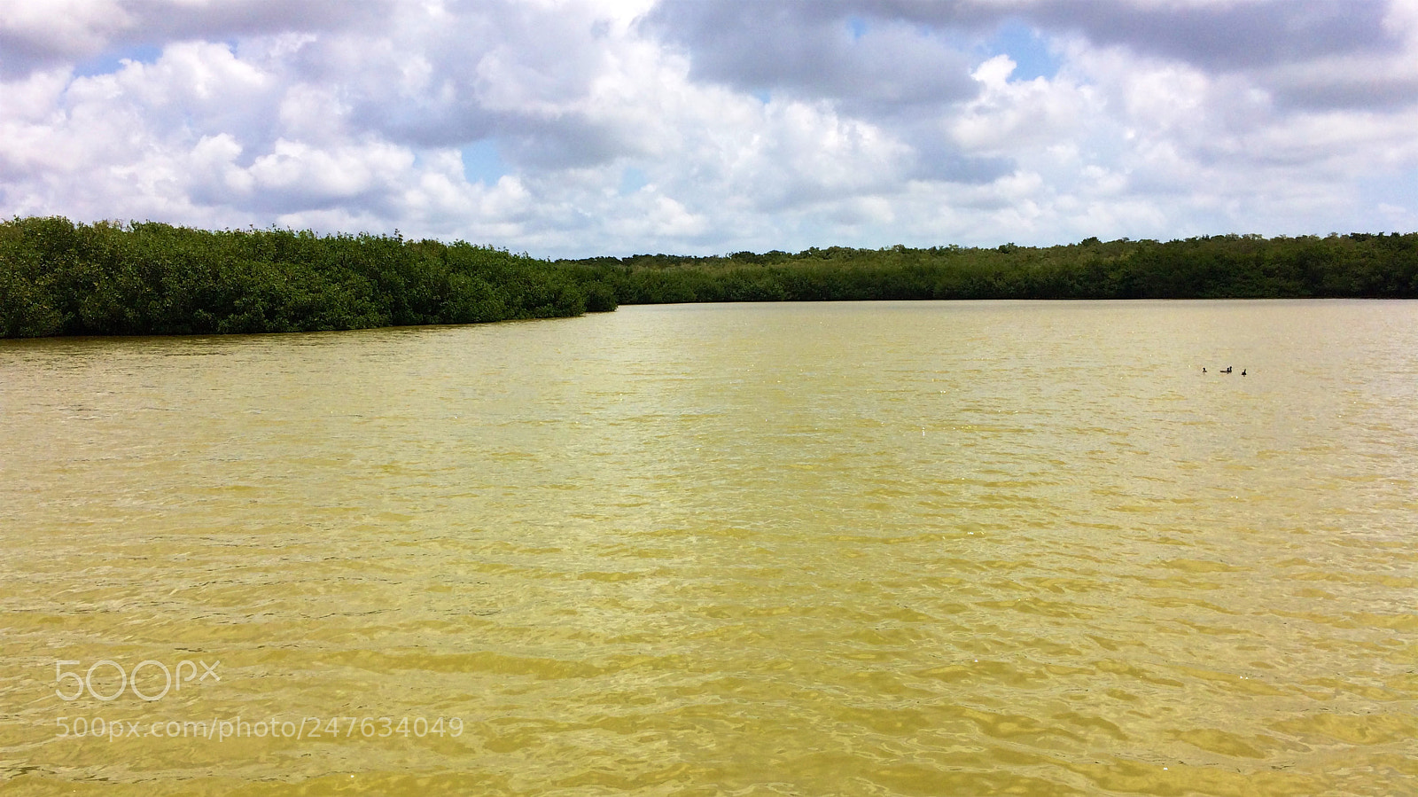 Apple iPhone 5s sample photo. Florida photography