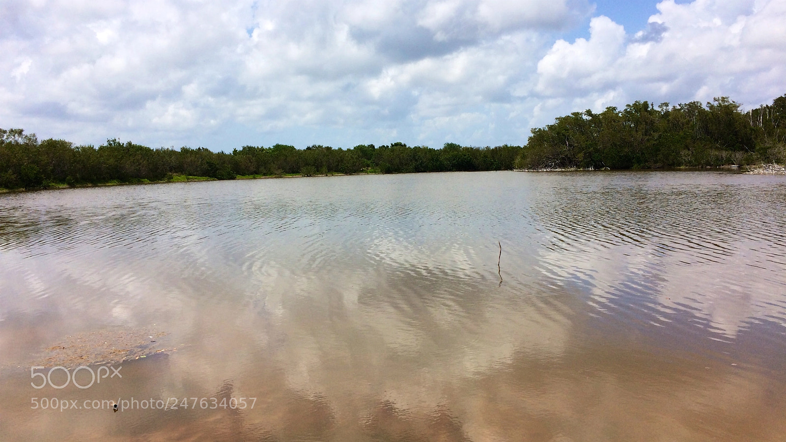 Apple iPhone 5s sample photo. Florida photography