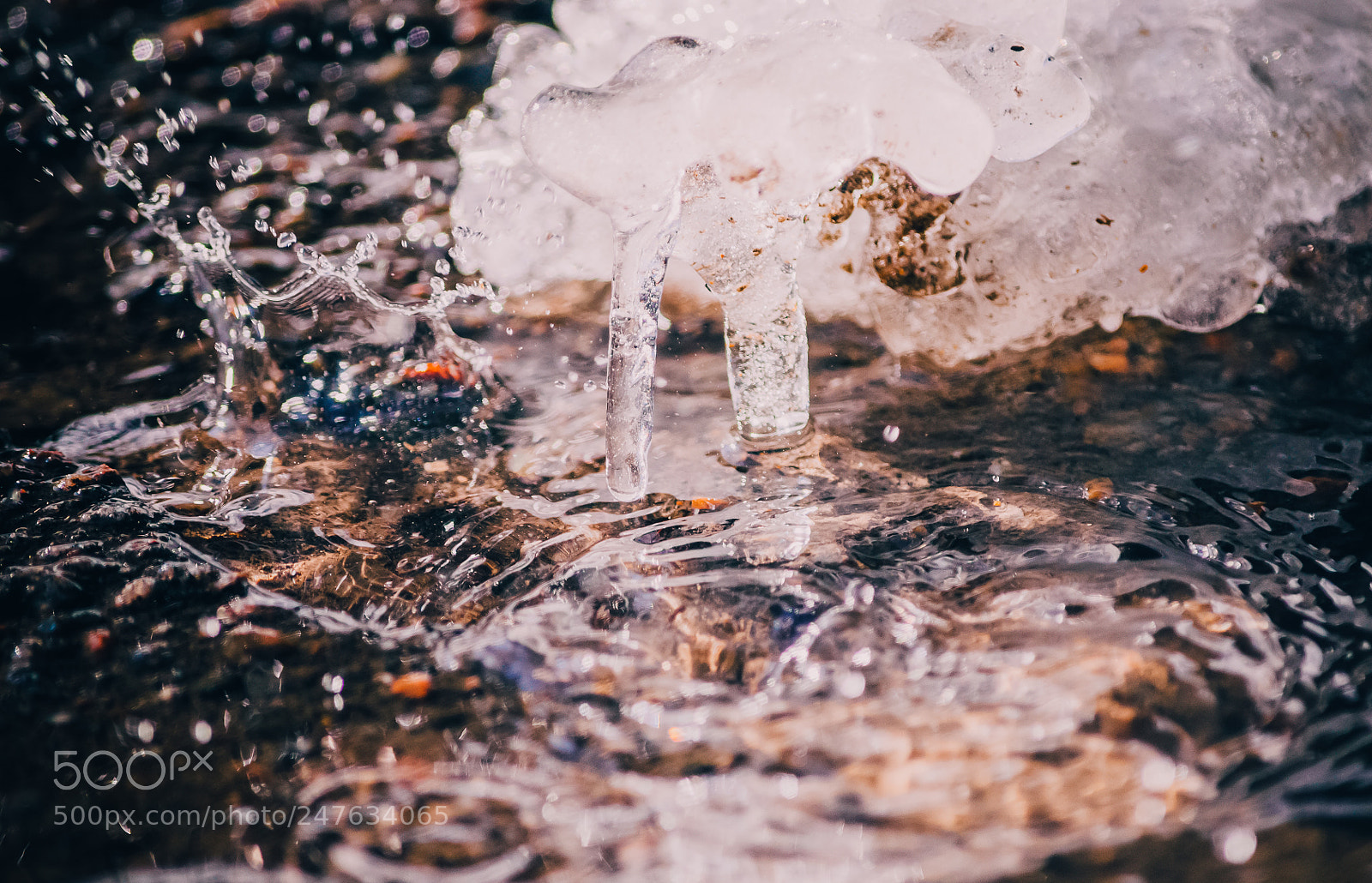 Nikon D5100 sample photo. Melting ice photography