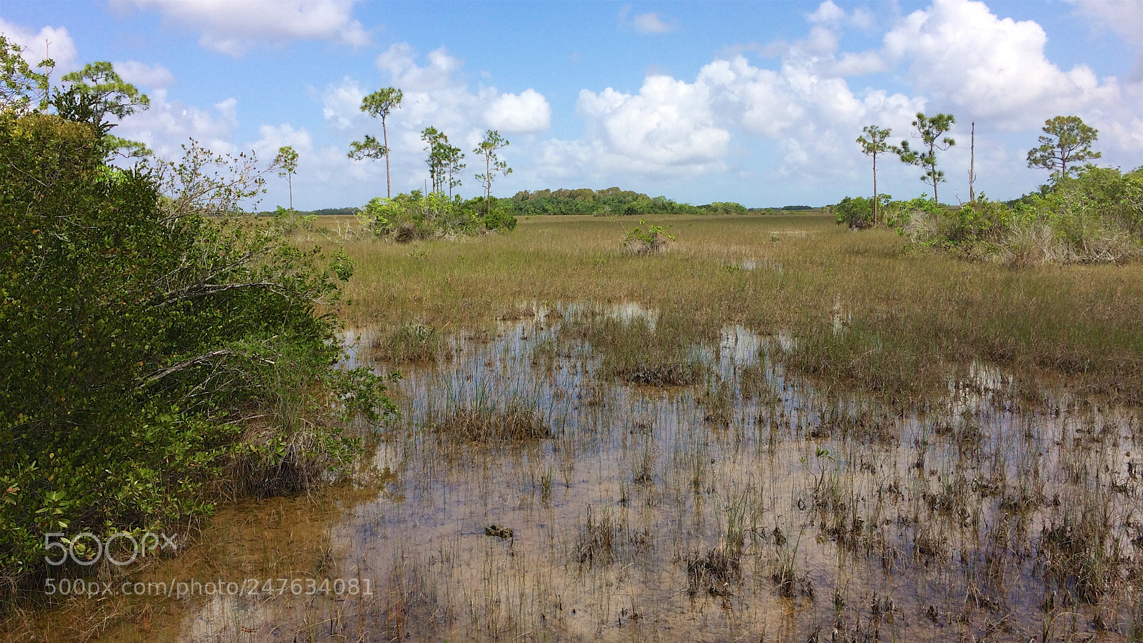 Apple iPhone 5s sample photo. Florida photography