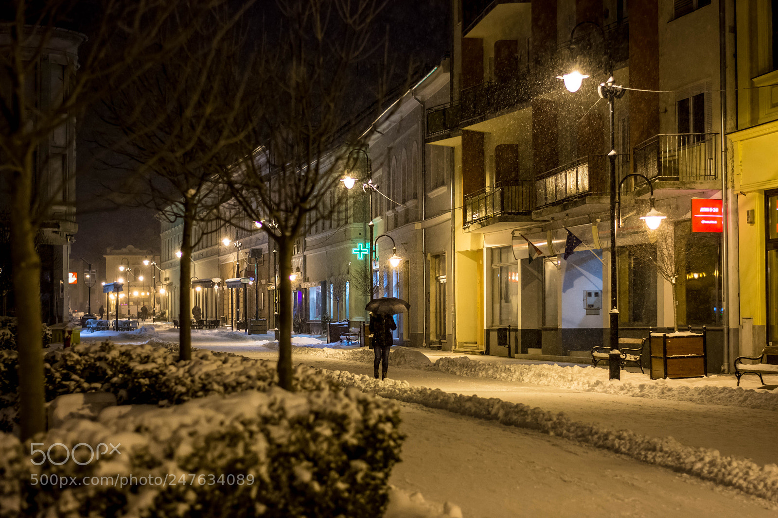 Nikon D7200 sample photo. Walking in the snow 1. photography