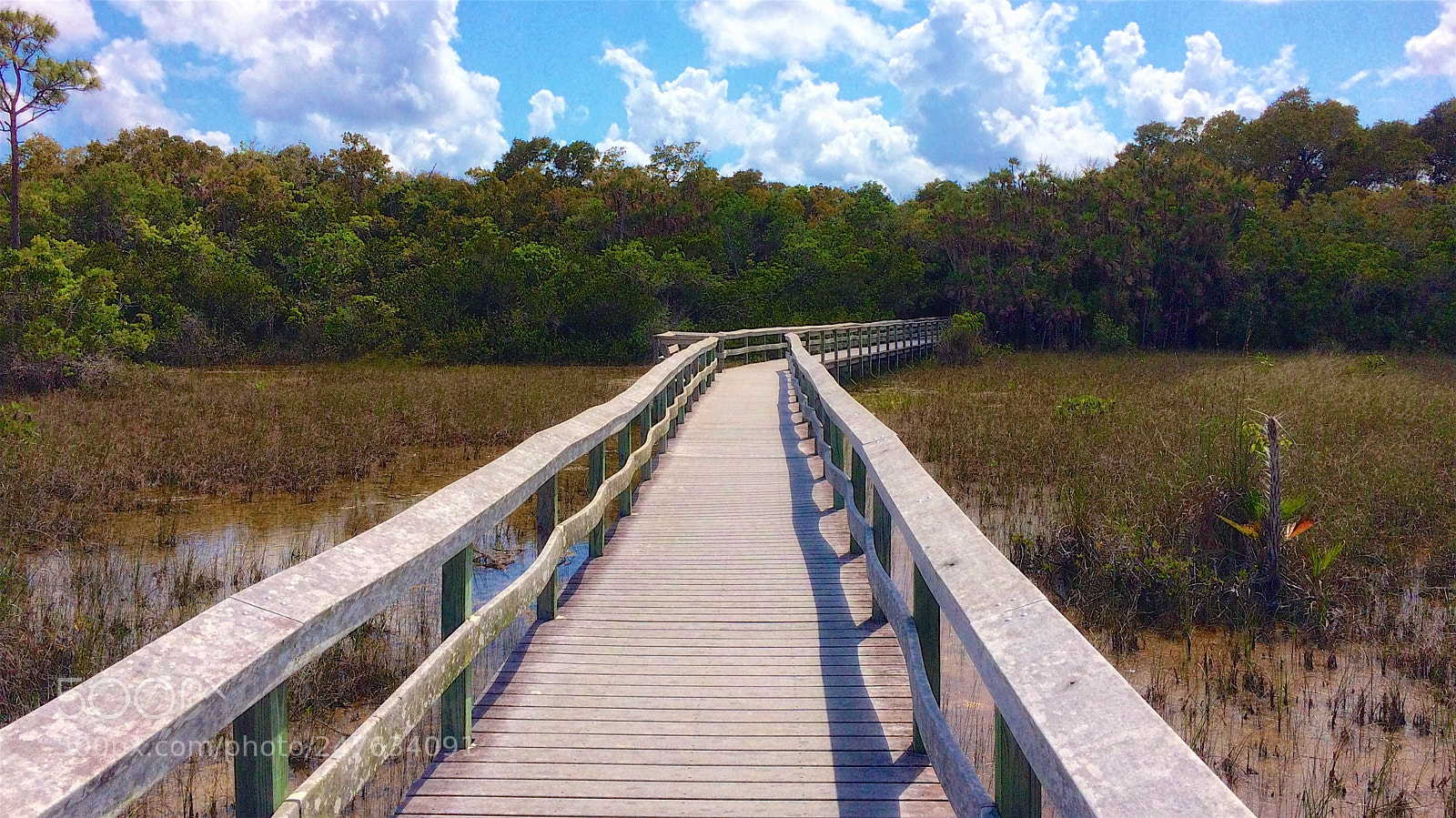Apple iPhone 5s sample photo. Florida photography