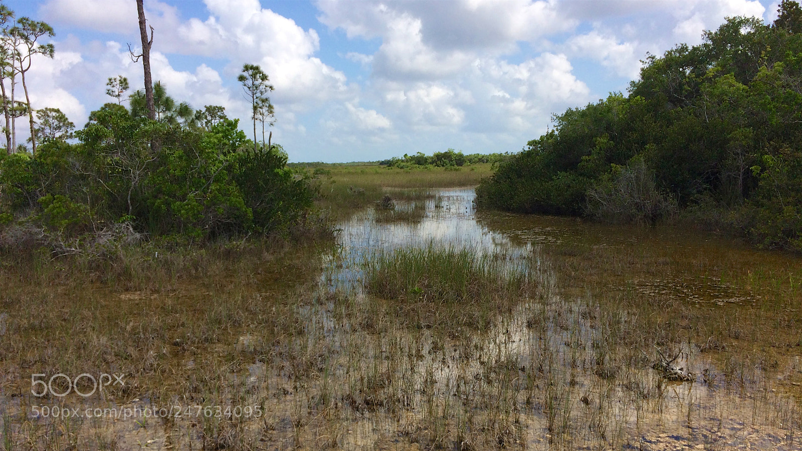 Apple iPhone 5s sample photo. Florida photography