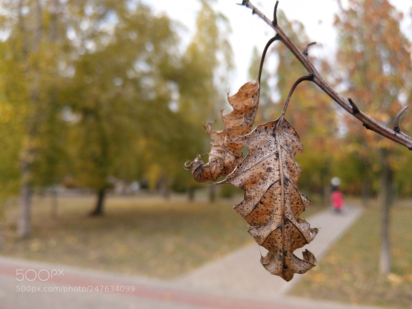 HTC U11 sample photo. Untitled photography