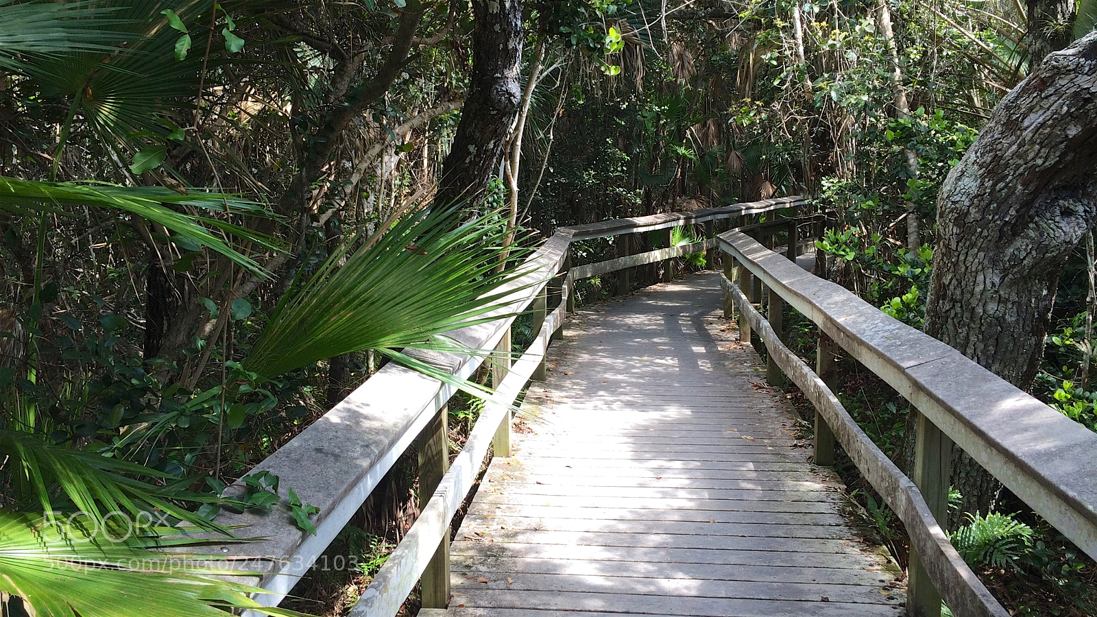 Apple iPhone 5s sample photo. Florida photography